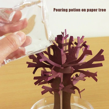 Load image into Gallery viewer, Trees with cherry blossom magic
