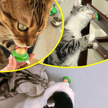 Load image into Gallery viewer, CAT HEALTHY TREAT "KITTY CHUPS"