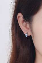 Load image into Gallery viewer, Paw Shape Earrings - 🐾🐈