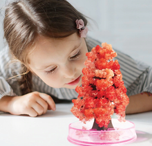 Load image into Gallery viewer, Trees with cherry blossom magic