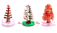 Load image into Gallery viewer, Trees with cherry blossom magic