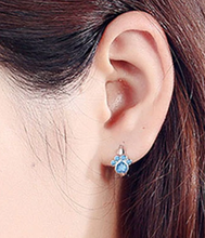 Load image into Gallery viewer, Paw Shape Earrings - 🐾🐈