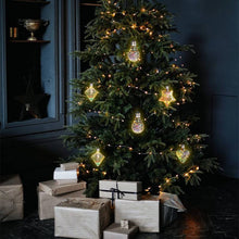 Load image into Gallery viewer, Starlight Gilt Light