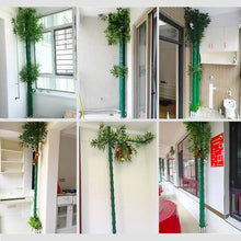 Load image into Gallery viewer, Pipeline Bamboo Forest (5PCS)