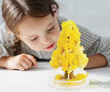 Load image into Gallery viewer, Trees with cherry blossom magic