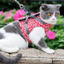 Load image into Gallery viewer, Donut Paw™ Cat Harness And Leash