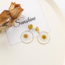 Load image into Gallery viewer, Dried Daisy Earrings