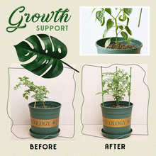 Load image into Gallery viewer, Einstellbare Anlage unterstützt Käfige(Kaufen Sie 2 und erhalten Sie 10% Rabatt)