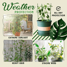 Load image into Gallery viewer, Einstellbare Anlage unterstützt Käfige(Kaufen Sie 2 und erhalten Sie 10% Rabatt)