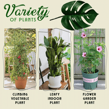 Load image into Gallery viewer, Einstellbare Anlage unterstützt Käfige(Kaufen Sie 2 und erhalten Sie 10% Rabatt)