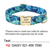 Load image into Gallery viewer, CUSTOM COLLAR - AMARYLLIS