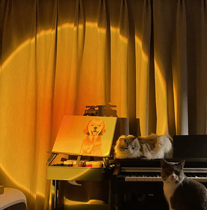 Eternal Sunset Lamp