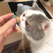 Load image into Gallery viewer, CAT HEALTHY TREAT &quot;KITTY CHUPS&quot;
