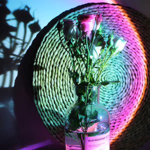 Eternal Sunset Lamp
