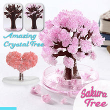 Load image into Gallery viewer, 2021 Hot Magic Growing Tree
