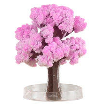 Load image into Gallery viewer, 2021 Hot Magic Growing Tree

