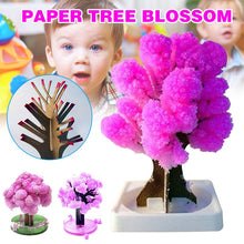 Load image into Gallery viewer, Magic Japanese Sakura Tree
