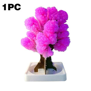 Magic Japanese Sakura Tree